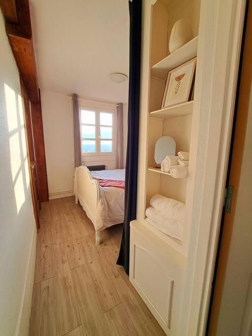 Charmant Duplex A Thiers, Vue Sur La Chaine Des Puys Exterior photo